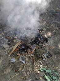 ከታሪክ ማህደር: የሕዳር በሽታ (Spanish Flu) እና ሕዳር ሲታጠን