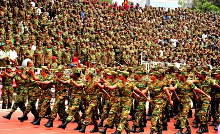 The Ethiopian Army at a Conceptual&nbsp;Crossroad?