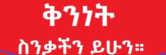 አብይ አህመድን መውቀስ ተገቢነቱ ከምርጫ በኋላ&nbsp;ነው!